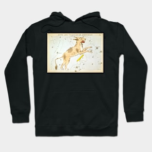 Lynx constellation Hoodie